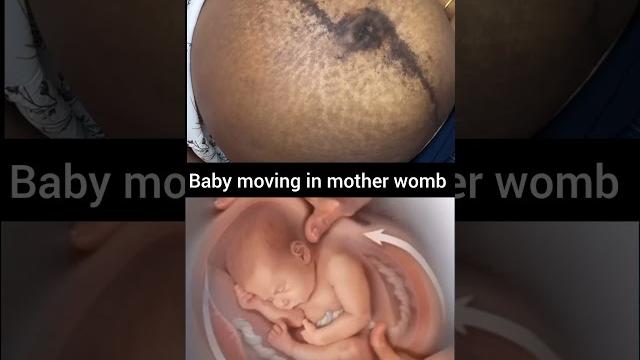 Baby moving in mother womb #baby #movement Baby moving in mother womb #baby #movement