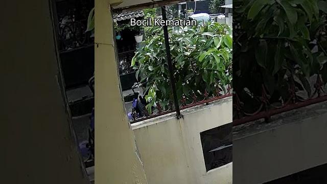 Bocil kesurupan, bocil kematian, bocil reog detected Bocil kesurupan, bocil kematian, bocil reog detected