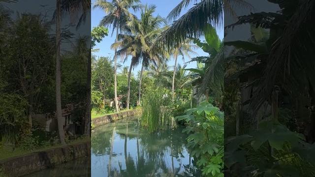 Fay garden, ngrajek, mungkid, magelang #magelang #centraljava #magelangcity #magelangtourism Fay garden, ngrajek, mungkid, magelang #magelang #centraljava #magelangcity #magelangtourism