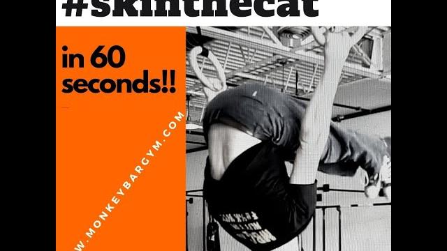 Skin the cat - in 60 seconds!! Skin the cat - in 60 seconds!!
