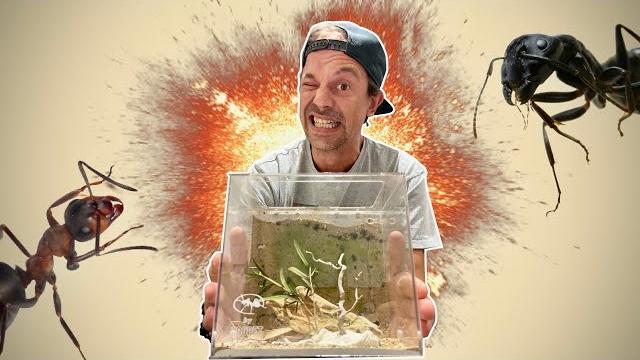 Cet élevage a explosé !! -toopet Cet élevage a explosé !! -toopet