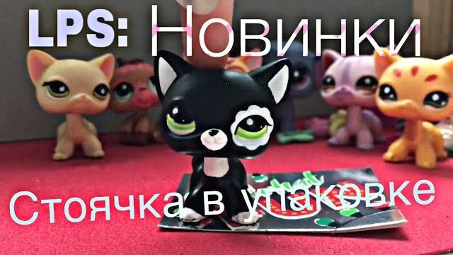 Lps: новинки #2 стоячка в упаковке?? Lps: новинки #2 стоячка в упаковке??