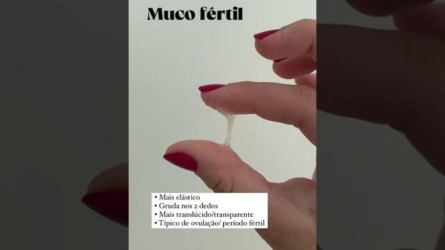 Tipos de mucos cervicais! #shorts #majuferreira Tipos de mucos cervicais! #shorts #majuferreira