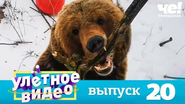 Улетное видео | выпуск 20 Улетное видео | выпуск 20