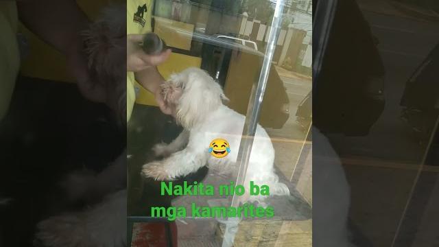 Labas putotoy Labas putotoy