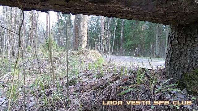 Новые амортизаторы на лада веста. Новые амортизаторы на лада веста.