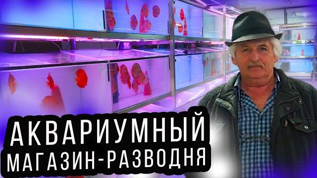 Аквариумный зоомагазин - рыборазводня в германии! продают и разводят в одном помещении! 4к Аквариумный зоомагазин - рыборазводня в германии! продают и разводят в одном помещении! 4к