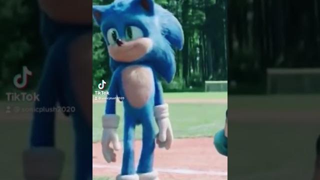 Sonicplush2020 sonic and his friend knuckles jumped in the car Sonicplush2020 sonic and his friend knuckles jumped in the car