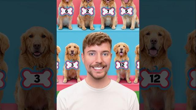 Find your dog, win $10,000 Find your dog, win $10,000