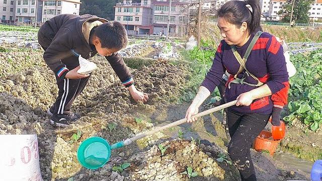 Take the children to grow vegetables, simple rural life Take the children to grow vegetables, simple rural life