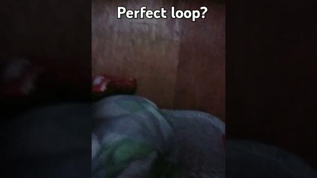 Loopity loop to the loopy loop Loopity loop to the loopy loop