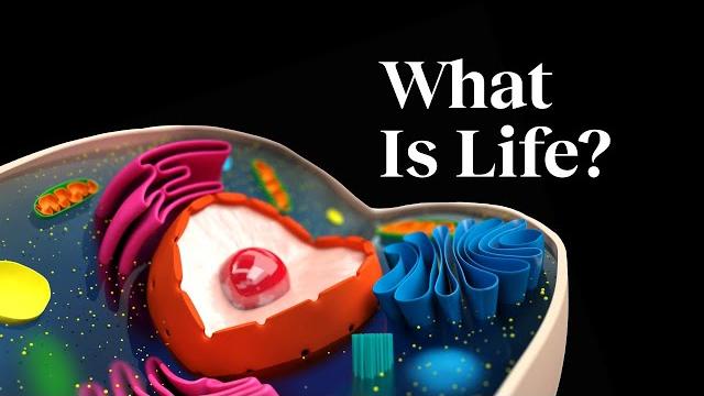 The 5 core principles of life | nobel prize-winner paul nurse The 5 core principles of life | nobel prize-winner paul nurse