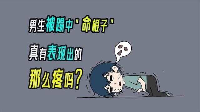 男生被踢中“命根子”,真的有那么疼吗? 男生被踢中“命根子”,真的有那么疼吗?