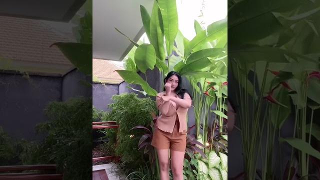 Goyang pamela bikin adek berdiri Goyang pamela bikin adek berdiri