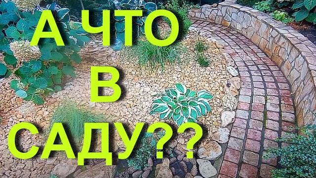 А что в саду? обзор сада в июле. А что в саду? обзор сада в июле.