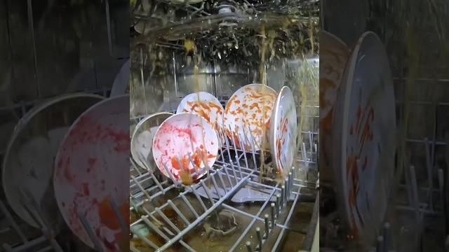 I put a camera inside my dishwasher I put a camera inside my dishwasher