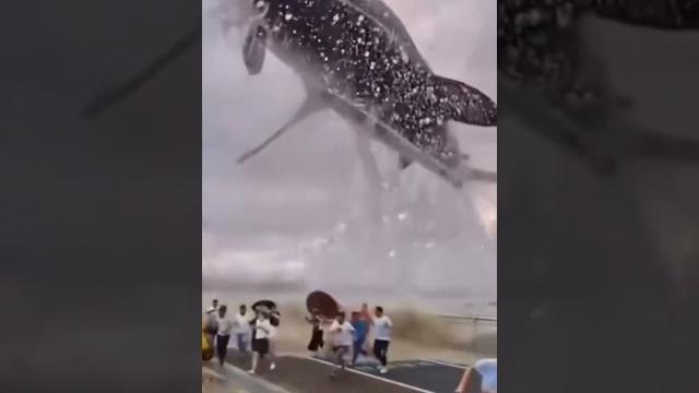 Real shark megalodon in real life #shorts Real shark megalodon in real life #shorts