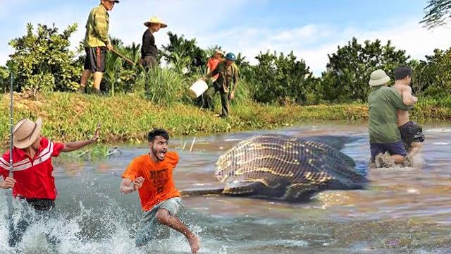 Horrified to discover giant monster python attacking people in the swamp. - anaconda. let's clean up Horrified to discover giant monster python attacking people in the swamp. - anaconda. let's clean up