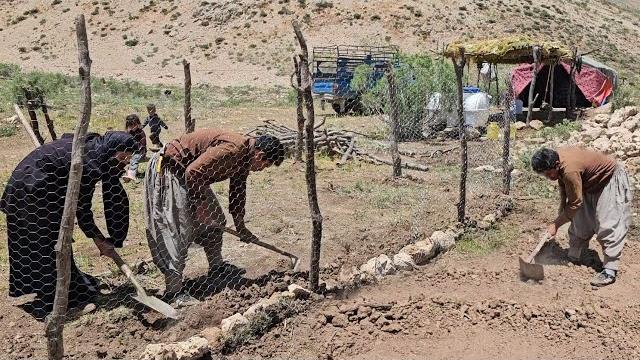 Fascinating nomadic life in the heart of the mountains | from nature to preparing a dream garden Fascinating nomadic life in the heart of the mountains | from nature to preparing a dream garden