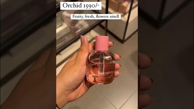 Zara top 5 fragrances Zara top 5 fragrances