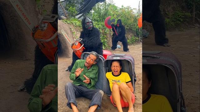 2 ferocious gorilla monsters attack beautiful brave girl and poor scared old man hiding in suitcase 2 ferocious gorilla monsters attack beautiful brave girl and poor scared old man hiding in suitcase