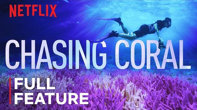 Chasing coral | full feature | netflix Chasing coral | full feature | netflix