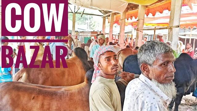 Best cow market in manikganj । beautiful village cow farmers । মানিকগঞ্জ গরুর হাট part 1 Best cow market in manikganj । beautiful village cow farmers । মানিকগঞ্জ গরুর হাট part 1