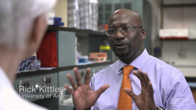 The biology of skin color — hhmi biointeractive video The biology of skin color — hhmi biointeractive video