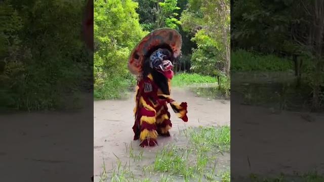 Barongan kejebur got wkwkw-like dan subscribe ya Barongan kejebur got wkwkw-like dan subscribe ya