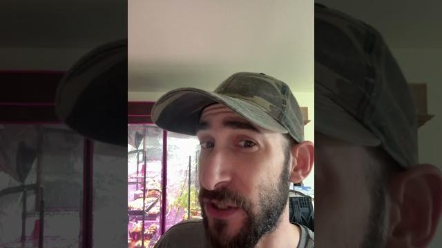 The decker case - wa police do not care The decker case - wa police do not care