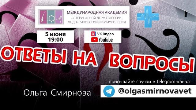 Ответы на вопросы. выпуск от 5.06.2025 Ответы на вопросы. выпуск от 5.06.2025