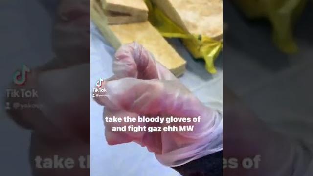 Take the bloody gloves of and fight Take the bloody gloves of and fight