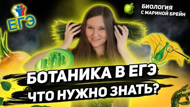 Ботаника егэ что нужно знать? Ботаника егэ что нужно знать?