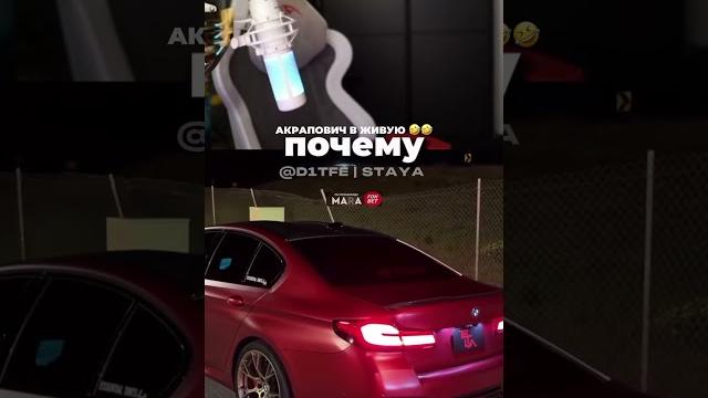 #стая #равшан #ренатко #сэм #стая #равшан #ренатко #сэм