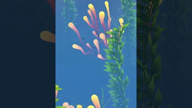 Wildlife update salty islands Wildlife update salty islands