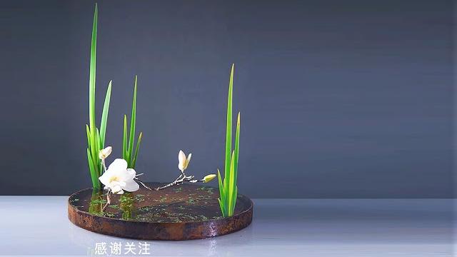 跟倪誌翔老師學插花 11 ni zhixiang 插花藝術 插花大師 ikebana 跟倪誌翔老師學插花 11 ni zhixiang 插花藝術 插花大師 ikebana