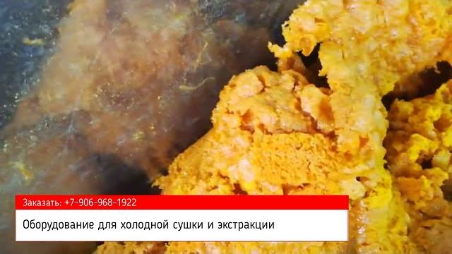 Инфракрасная сушилка для овощей, ягод и фруктов. обзор инфракрасной вакуумно-импульсной технологии Инфракрасная сушилка для овощей, ягод и фруктов. обзор инфракрасной вакуумно-импульсной технологии