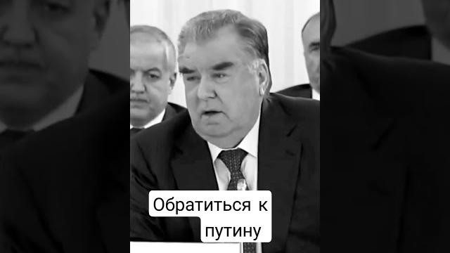 Обратиться к путину Обратиться к путину