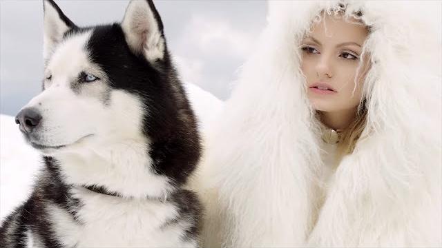 Alexandra stan feat. havana - ecoute (official music video) Alexandra stan feat. havana - ecoute (official music video)