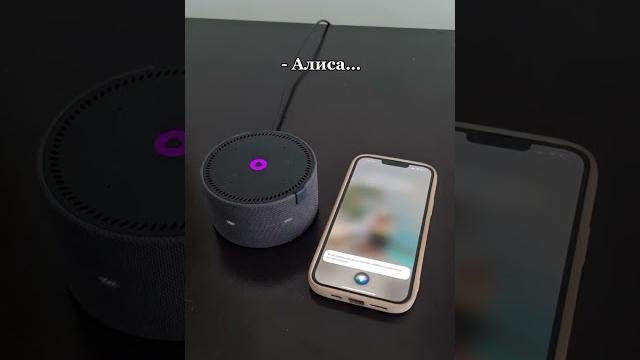Что будет, если сравнить siri с алисой? купить яндекс станцию можно в инст: electronics_latvia Что будет, если сравнить siri с алисой? купить яндекс станцию можно в инст: electronics_latvia