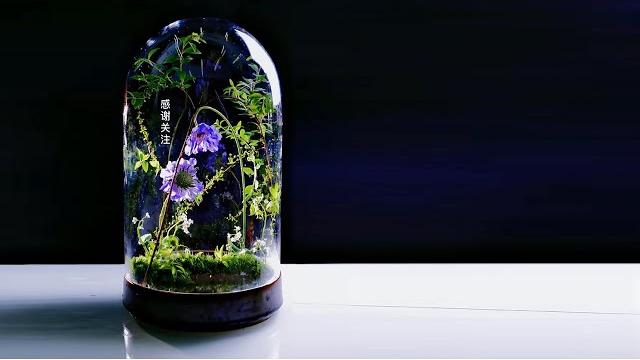 跟倪誌翔老師學插花ni zhixiang 32 跟倪誌翔老師學插花ni zhixiang 32