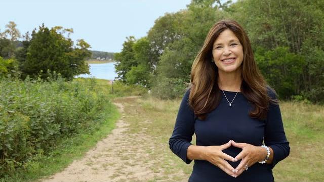 Introducing bay farm realty Introducing bay farm realty