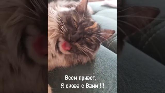 Буся снова на youtube Буся снова на youtube