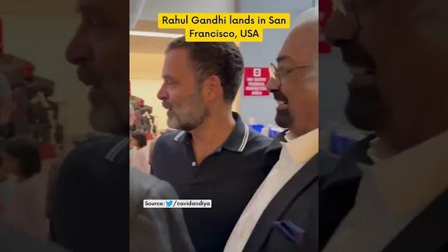 Congress leader rahul gandhi arrives in us #shorts Congress leader rahul gandhi arrives in us #shorts