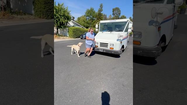 Unleashed dog charges… and the mail carrier runs Unleashed dog charges… and the mail carrier runs