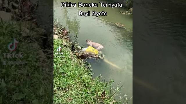 Tega bener ya #bayi #hanyut #viral Tega bener ya #bayi #hanyut #viral