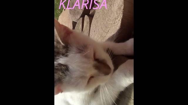 Klarisa Klarisa