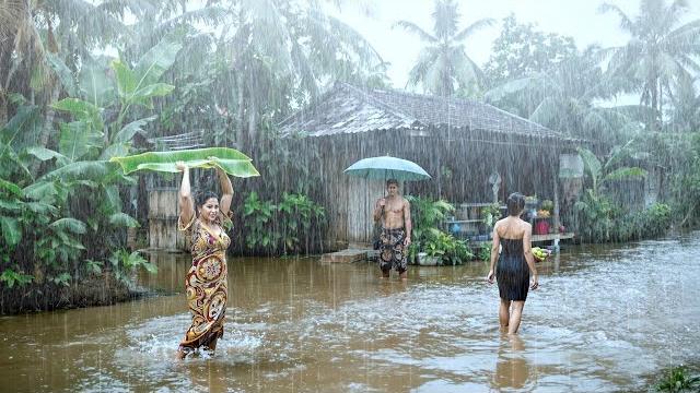 Peaceful walk in heavy rain in indonesian village | nature sounds for sleep and study | rain drum Peaceful walk in heavy rain in indonesian village | nature sounds for sleep and study | rain drum