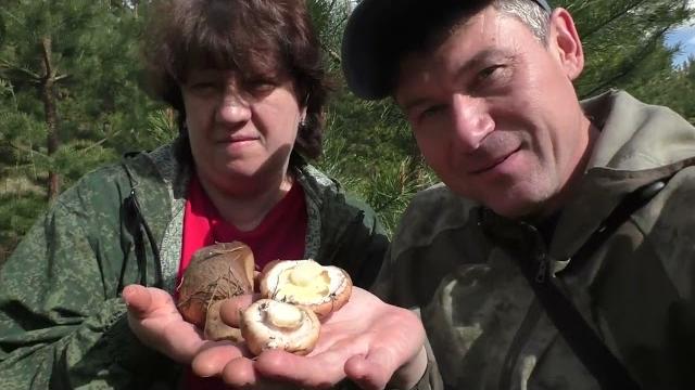 Мы попали в грибной рай! взял жену и ушли далеко в лес! грибы лес! без валокордина не смотреть Мы попали в грибной рай! взял жену и ушли далеко в лес! грибы лес! без валокордина не смотреть