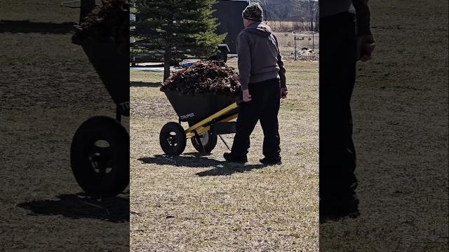 Наши родители Наши родители